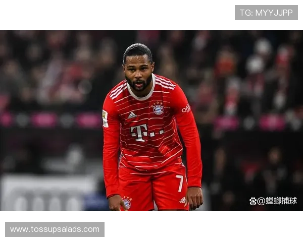 格纳布里战术价值提升