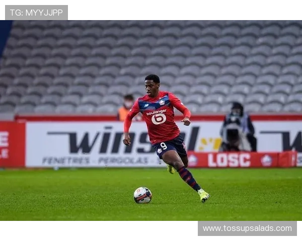 被低估的高效射手：乔纳森·戴维为何长期被忽视