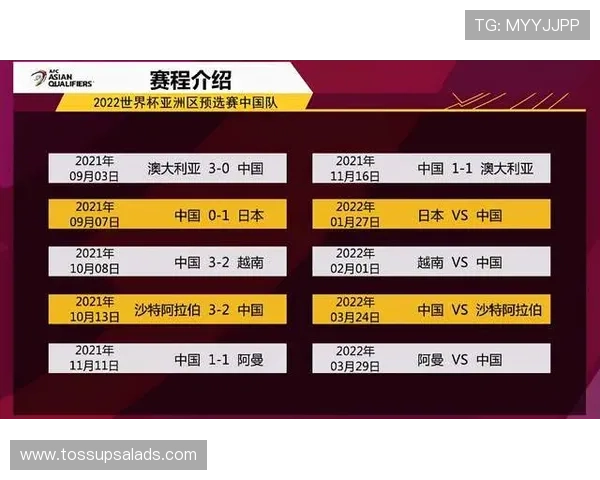 世界杯E组胜率与出线率统计